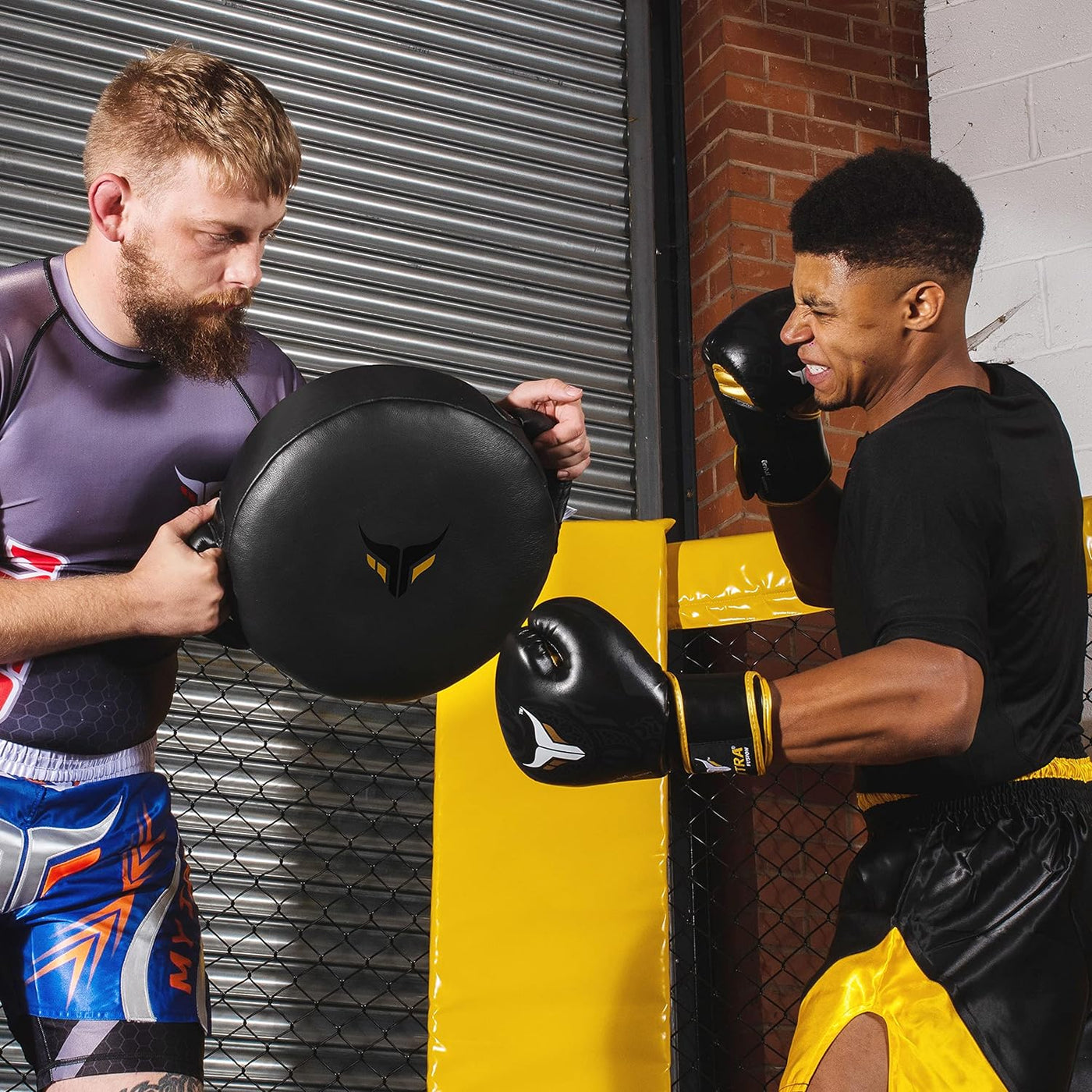 Tribal Power Boxing Gloves - Sparring & Fight Gloves