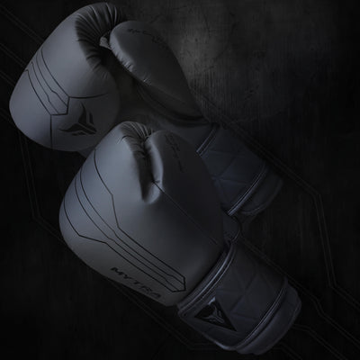 Boxing Gloves BS-22 – Sparring Gloves With Free Wraps