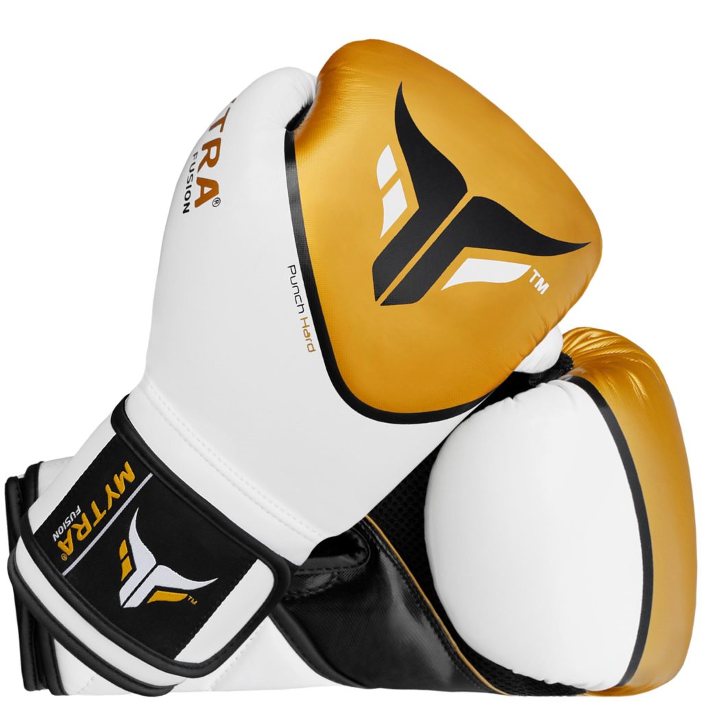 Mytra Fusion Boxing Gloves