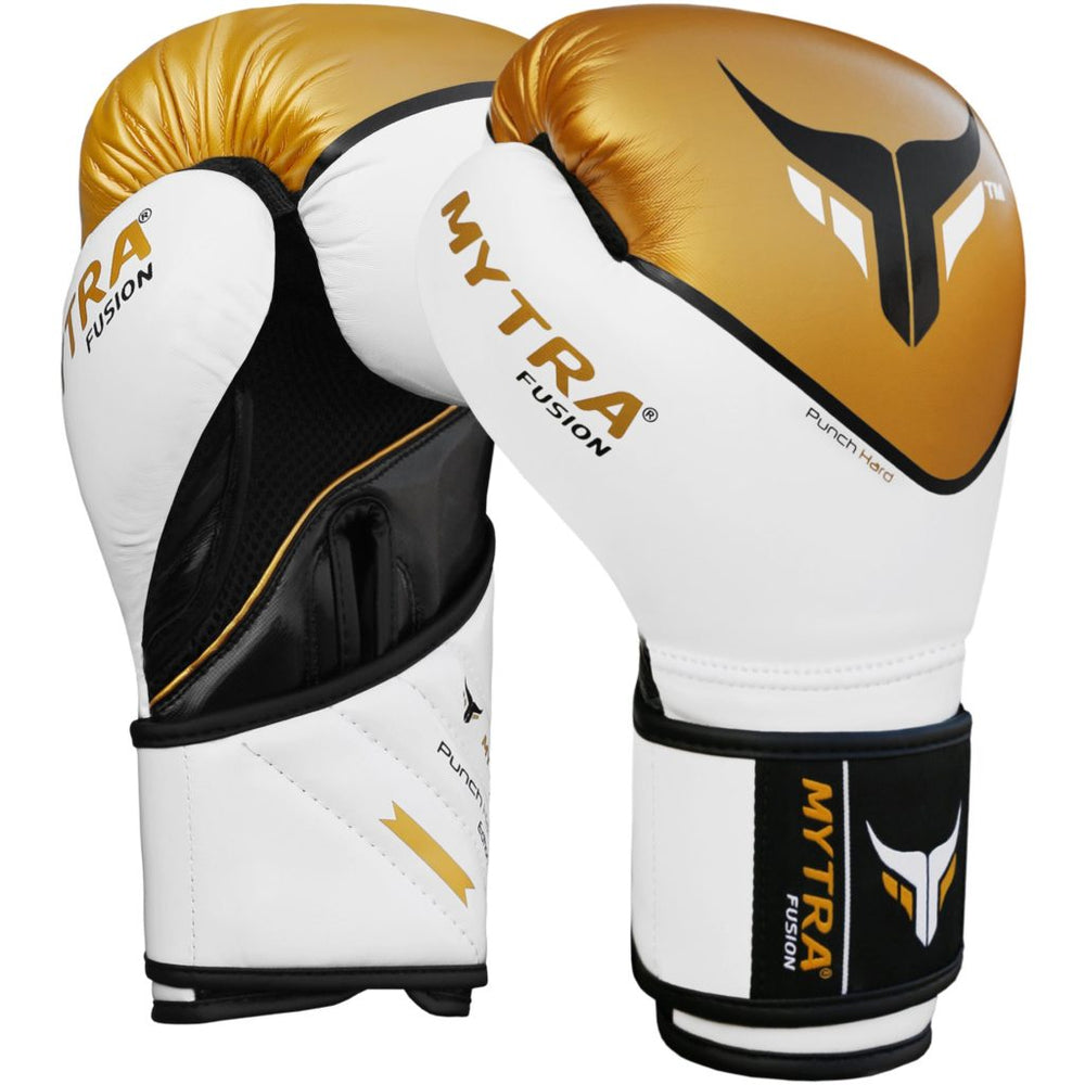 Mytra Fusion Boxing Gloves