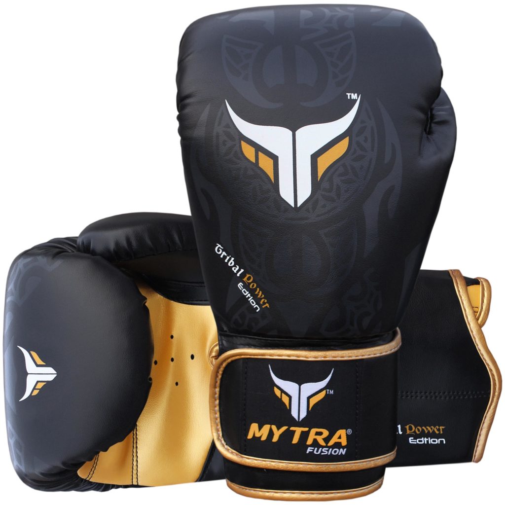 Mytra Fusion Boxing Gloves