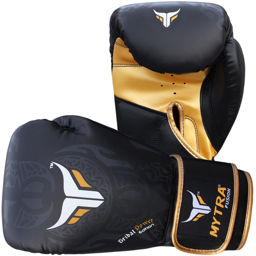 Mytra Fusion Boxing Gloves