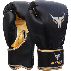 Mytra Fusion Boxing Gloves