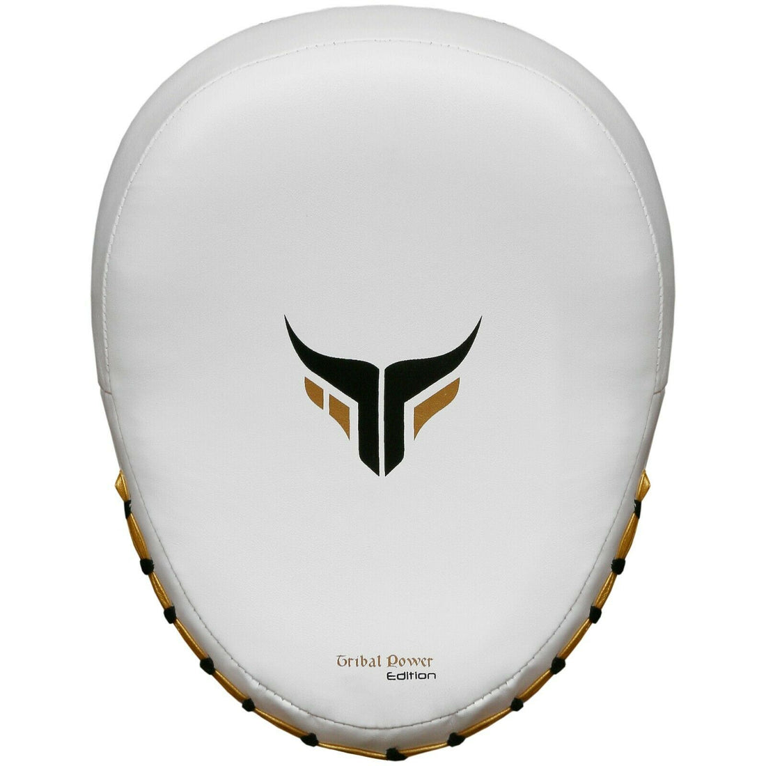 Mytra Fusion Boxing Pads